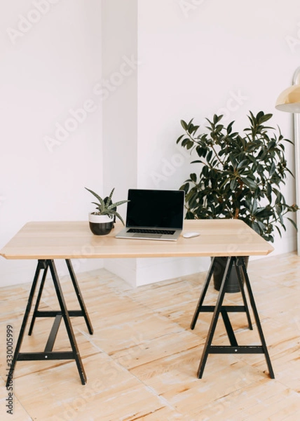Fototapeta modern office, laptop computer and plant on a wooden table against a white wall, workplace, minimalism, lifestyle, management, gadgets, technology, business