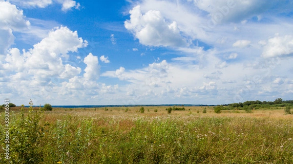 Obraz Landscape with a yellow field and white clouds in the blue sky