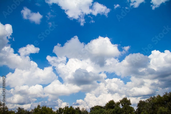 Obraz White clouds and green treetop on the blue sky backdrop