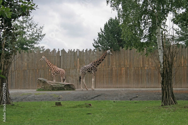 Obraz No, I don't look there