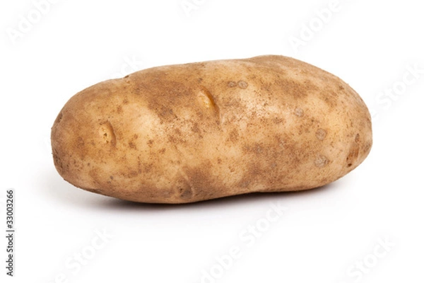 Obraz Russet Potato
