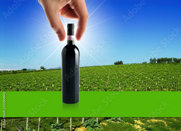 Obraz vino e viticoltura