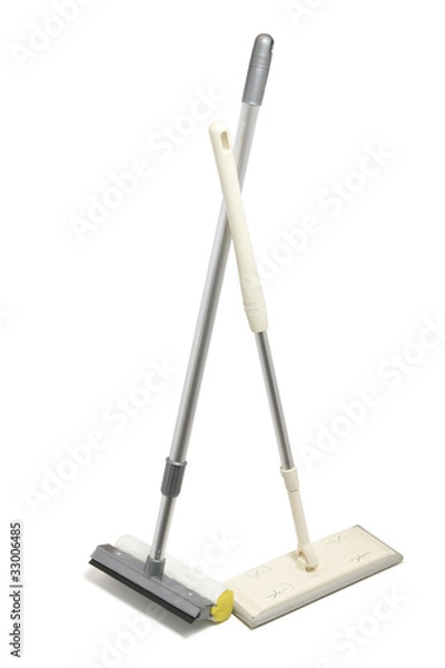 Fototapeta Sponge and Mops