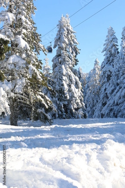 Obraz winter mountain landscape with fir trees and snow