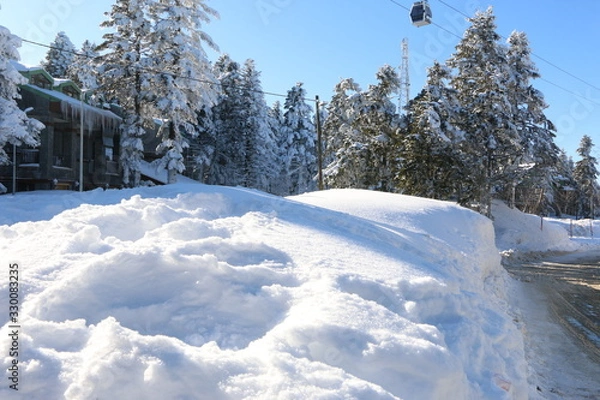 Obraz winter landscape with road and trees