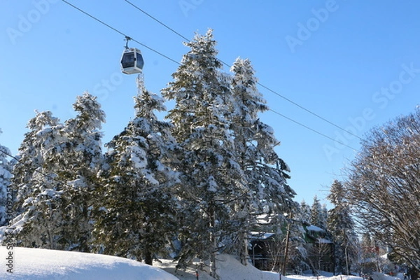 Obraz chairlift in winter forest