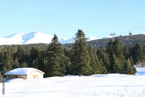 Obraz winter in the mountains