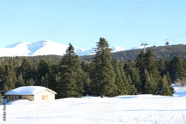 Obraz winter in the mountains