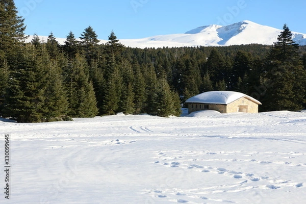 Obraz house in the mountains