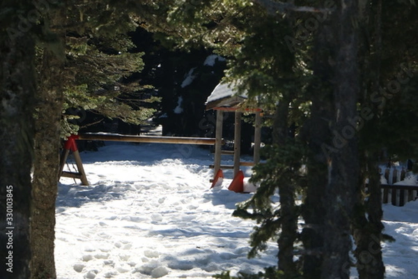 Obraz cabin in winter forest