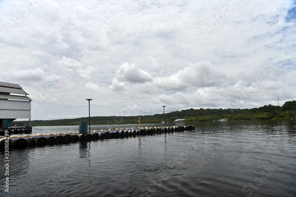Fototapeta views of the river channel in the Amazon jungle in Brazil