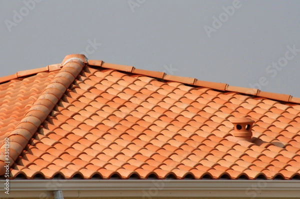 Fototapeta tuiles du toit d'une maison en bois