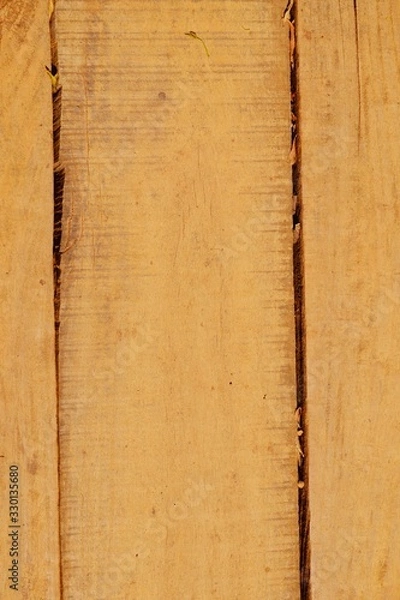 Obraz Old wood texture background