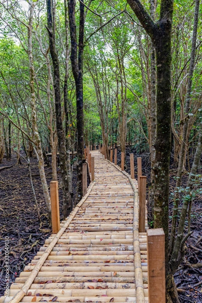 Fototapeta Bamboo walkway bridge in the mangrove forest of Tha Ra Nae village, Trat, Thailand