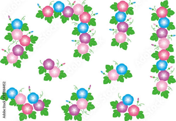 Fototapeta 朝顔のイラスト