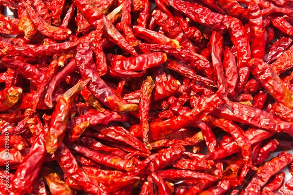 Obraz Dried chili background texture