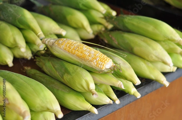 Obraz close up fresh sweet corn 