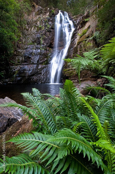 Fototapeta Mathinna falls