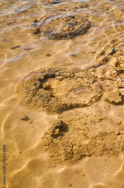Fototapeta Stromatolites