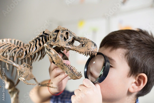 Obraz A school boy looking at a dinosaur model through a magnifying glass