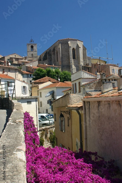 Obraz hyères les palmiers