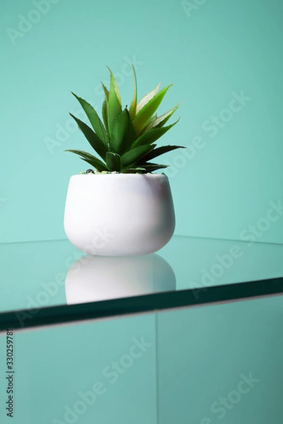 Fototapeta abstract still life. Lonely Cactus on glass table