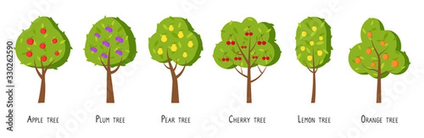 Obraz Green fruit tree flat cartoon set. Different trees with ripe fruits apple, plum, pear, cherry, lemon, orange. Simple colorful symbol organic orchard. Natural harvest icon. Isolated vector illustration