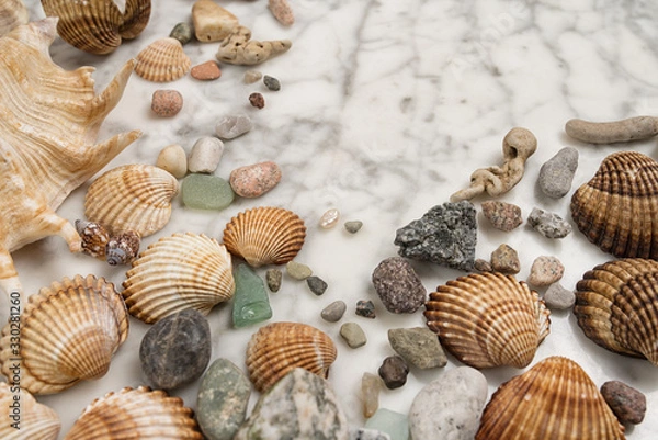 Fototapeta sea pearl in the center of the frame,  stones and shells lying on a marble background, composition of sea stones and seashells, marine composition, composition of seashells, jellyfish
