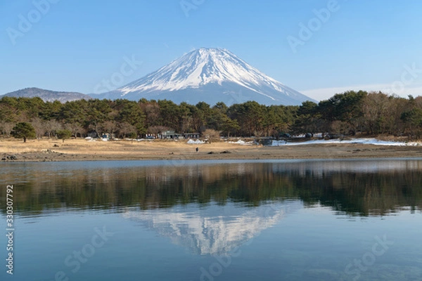 Fototapeta 本栖湖逆さ富士