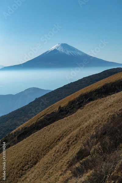 Obraz 駒ケ岳 富士山