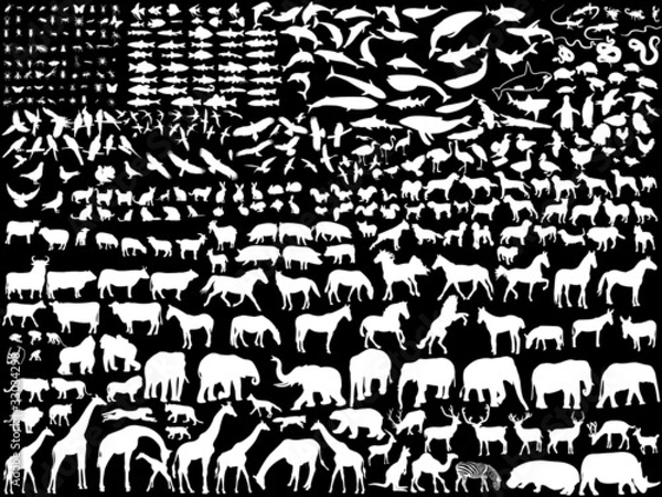 Obraz white different animals - vector