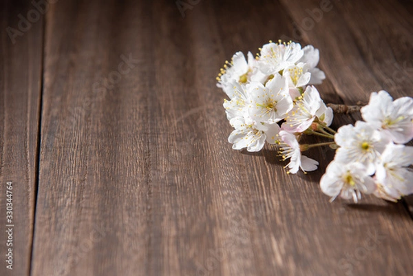 Fototapeta 桜の花