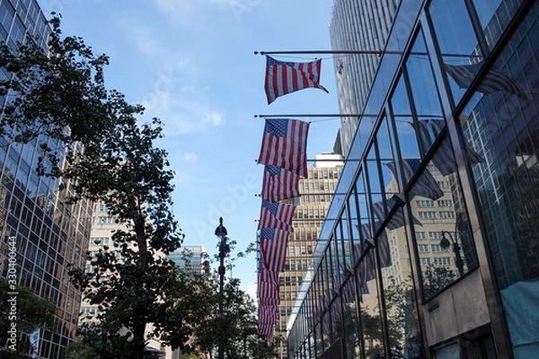 Obraz United States flags