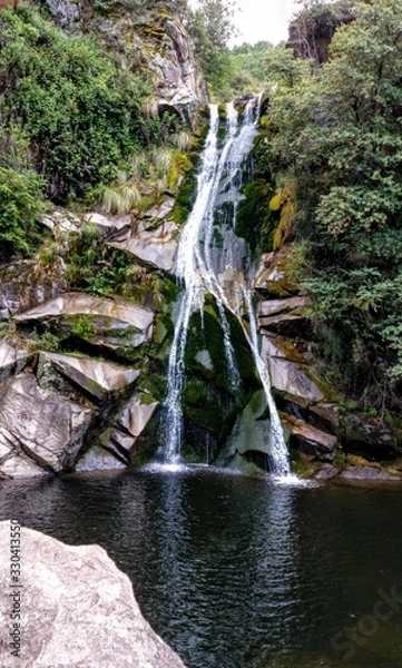 Fototapeta waterfall in forest