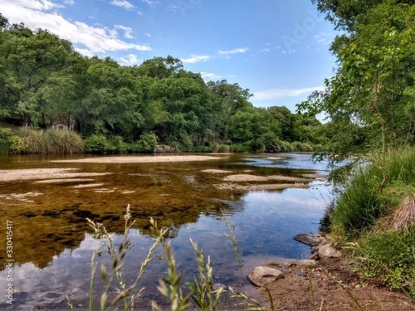 Obraz river in forest