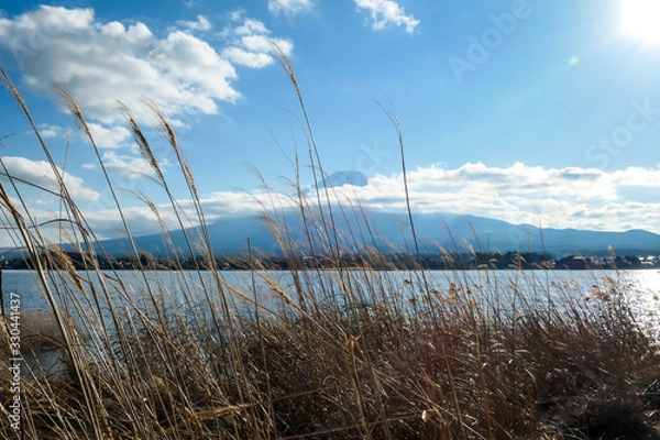 Fototapeta An idyllic view on Mt Fuji from the side of Kawaguchiko Lake, Japan. The volcano is surrounded by clouds. Dried, golden grass on the shore of the lake. Serenity and calmness. Bright and clear day.