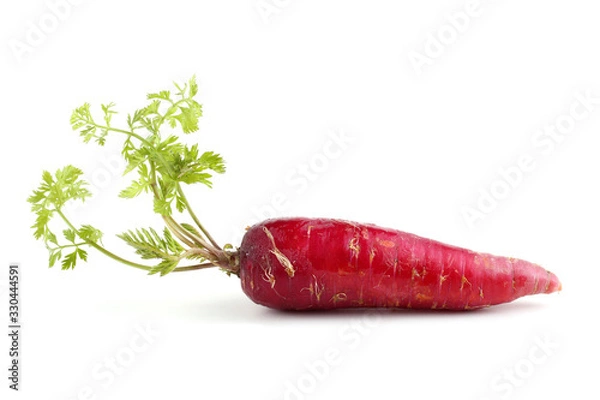 Fototapeta Red carrot with leaf