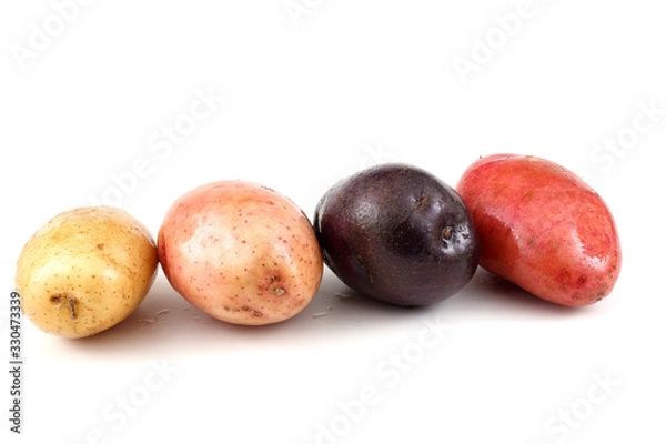Fototapeta Different color potatoes
