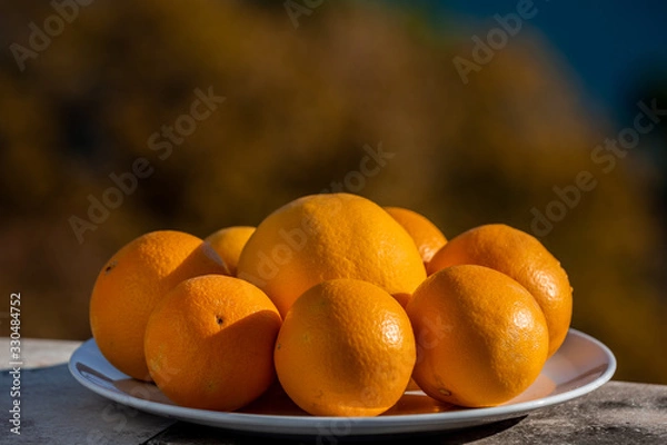 Obraz Still life eight oranges on white plate with water spraying on sunlight, selective focus on front row of oranges, blurred trees on background
