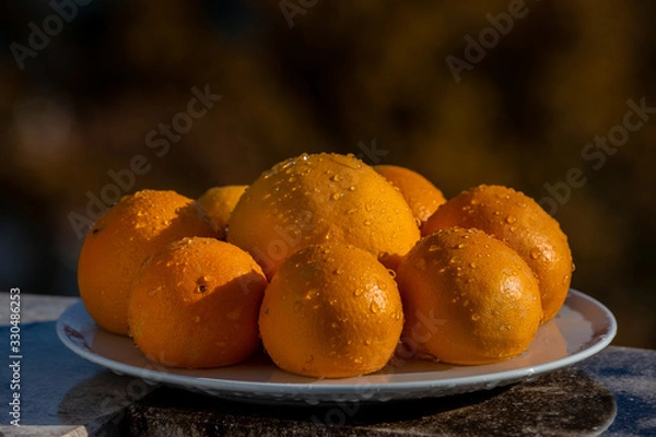 Obraz Still life eight oranges on white plate with water drops spray