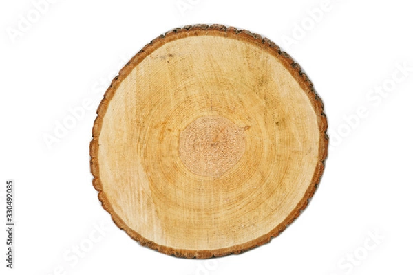 Fototapeta Sawed a natural tree with bark. The stump of a young tree, top view. Isolated