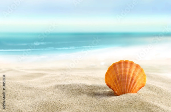 Fototapeta Shell on the beach