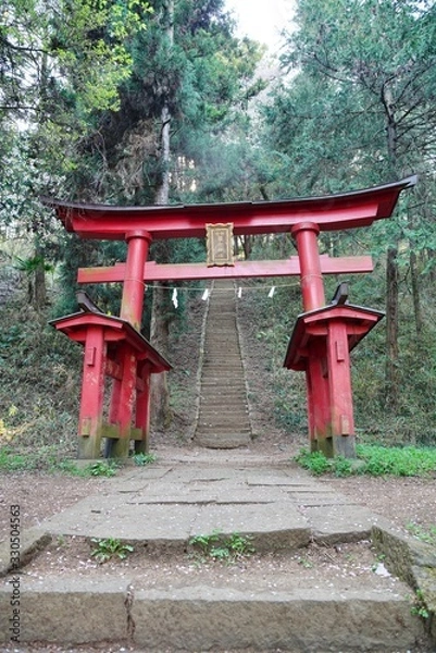 Fototapeta 新府城跡藤武神社の鳥居