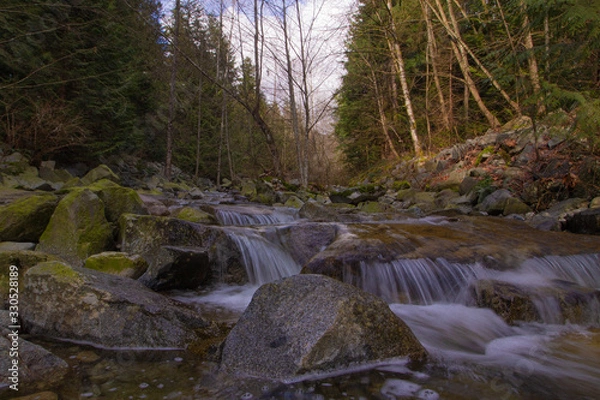 Obraz ノースバンクーバー、川、3月, North Vancouver