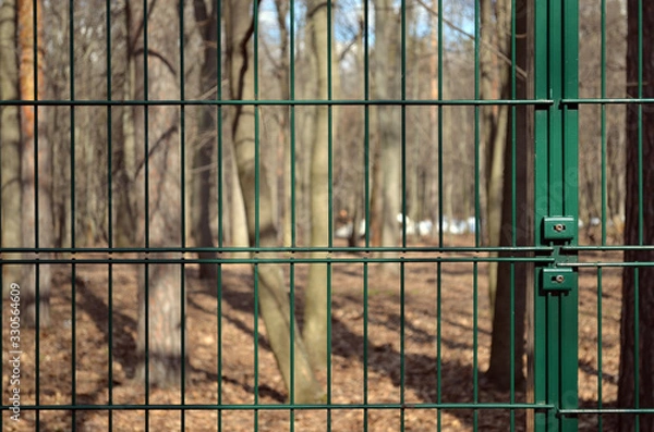 Fototapeta Forest behind bars. A park. Fence. The trees. Foliage.