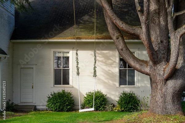 Fototapeta Swing hangs from an old tree in the afternoon sunlight