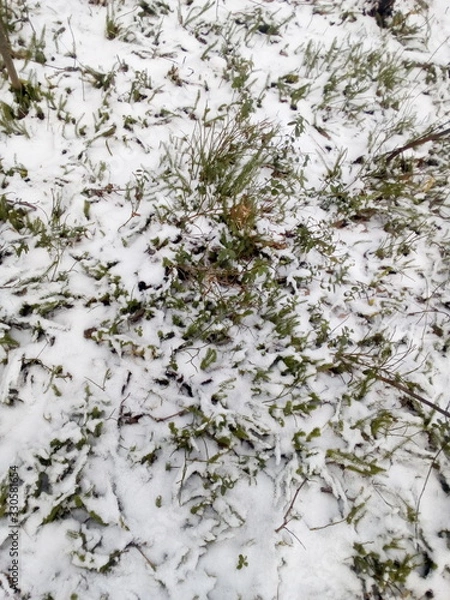 Obraz the first snow