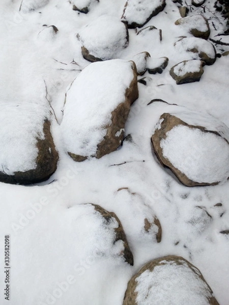 Fototapeta snow covered branches