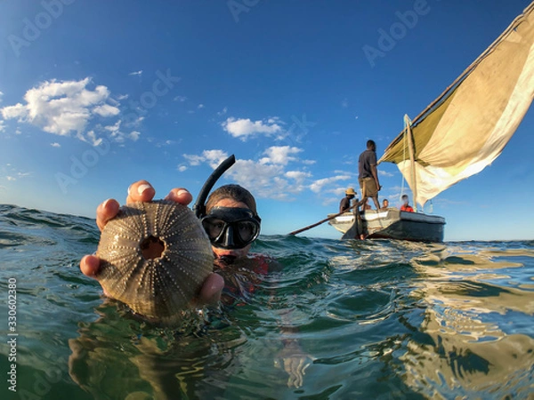 Fototapeta Girl diver with a pumpkin shell