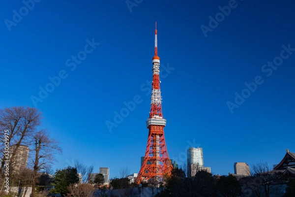 Fototapeta 青空の東京タワー